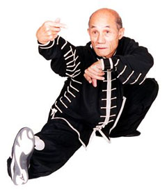 Grandmaster Pui Chan