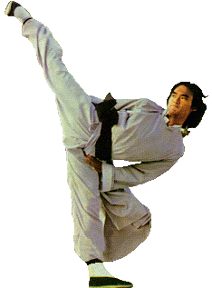 kung fu monkey style techniques