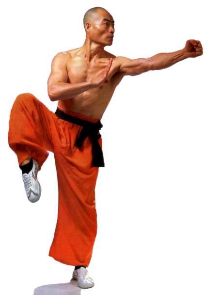 Shaolin Fist