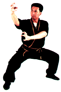 kung fu tiger style