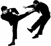 Bruce Lee's Kick