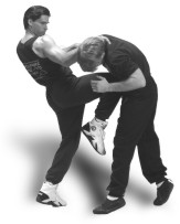 Wing Chun's Knee Kicks